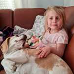 Beagle_und_kleines_Kind.jpg