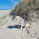 Carla_am_Strand.jpg