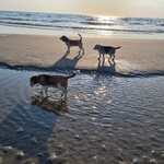 Drei_am_Strand_2.jpg