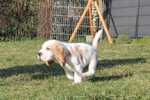 B-Wurf_4.jpg